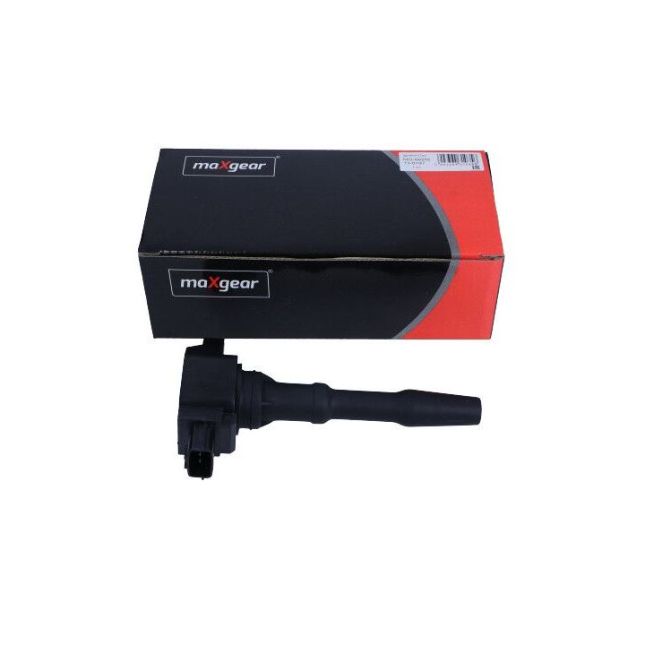Ritė, uždegimas MAXGEAR 13-0197