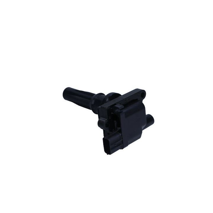 Ritė, uždegimas MAXGEAR 13-0204