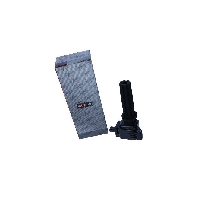 Ritė, uždegimas MAXGEAR 13-0219