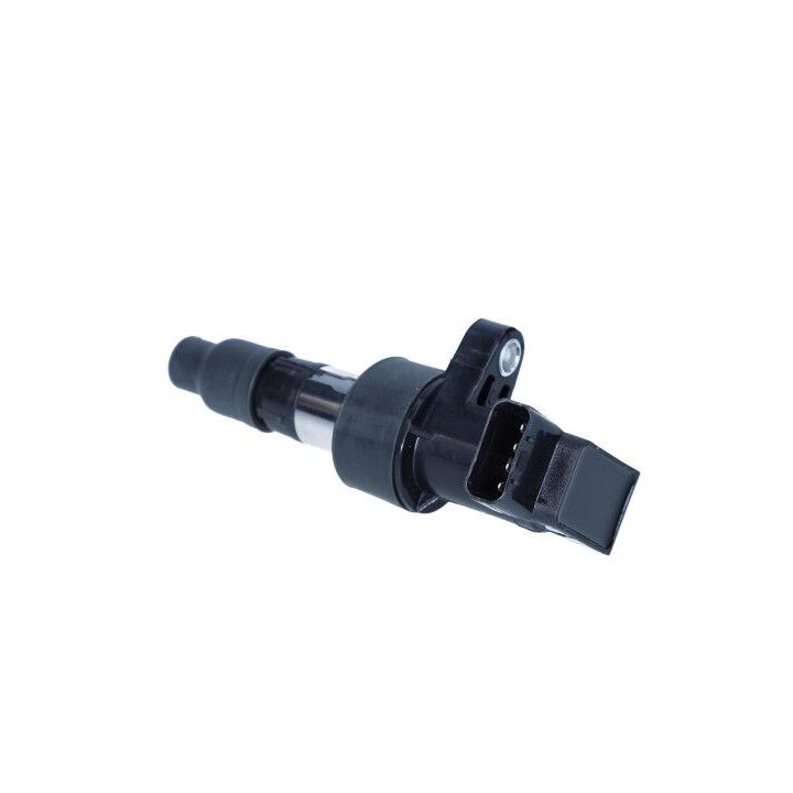 Ritė, uždegimas MAXGEAR 13-0224