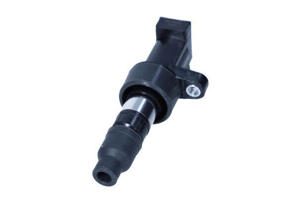 Ritė, uždegimas MAXGEAR 13-0224