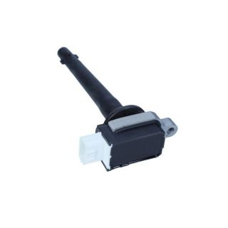 Ritė, uždegimas MAXGEAR 13-0233