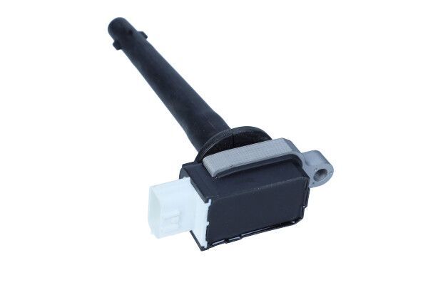 Ritė, uždegimas MAXGEAR 13-0233