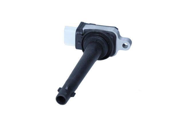 Ritė, uždegimas MAXGEAR 13-0233