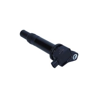 Ritė, uždegimas MAXGEAR 13-0234