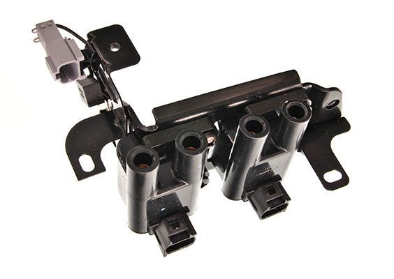 Ritė, uždegimas MAXGEAR 13-0236