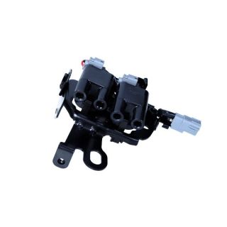 Ritė, uždegimas MAXGEAR 13-0238