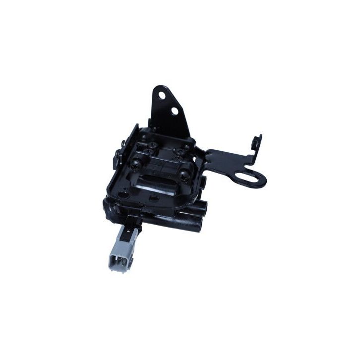 Ritė, uždegimas MAXGEAR 13-0238