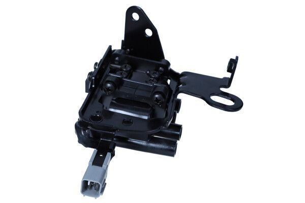 Ritė, uždegimas MAXGEAR 13-0238