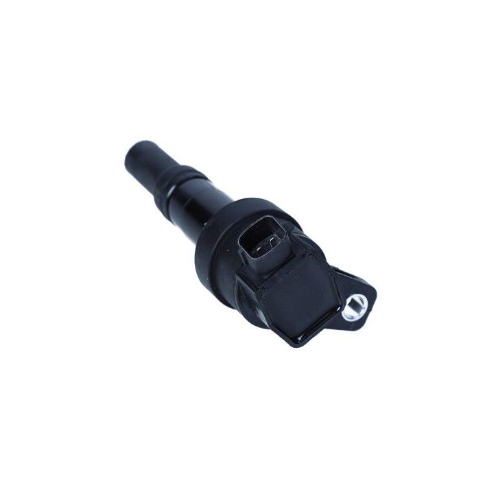 Ritė, uždegimas MAXGEAR 13-0240