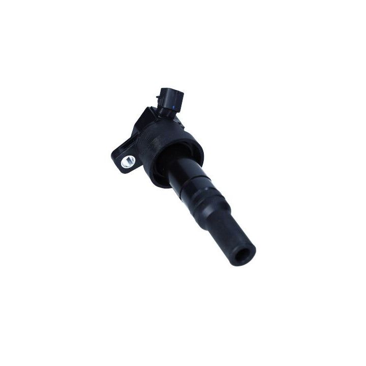 Ritė, uždegimas MAXGEAR 13-0240