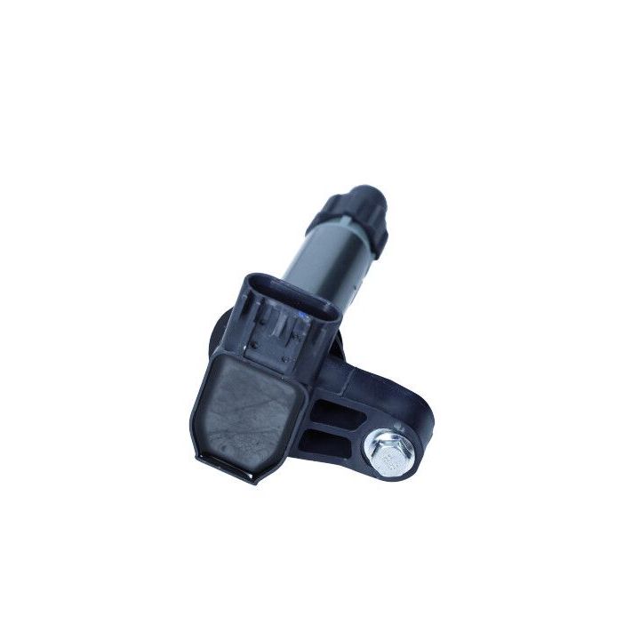 Ritė, uždegimas MAXGEAR 13-0241