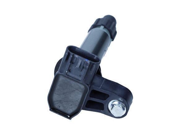 Ritė, uždegimas MAXGEAR 13-0241