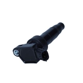 Ritė, uždegimas MAXGEAR 13-0243