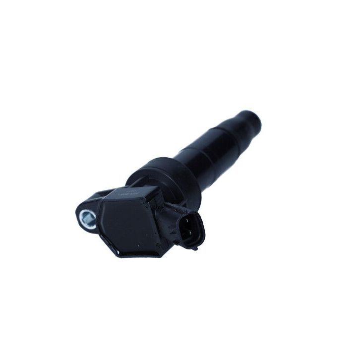 Ritė, uždegimas MAXGEAR 13-0243