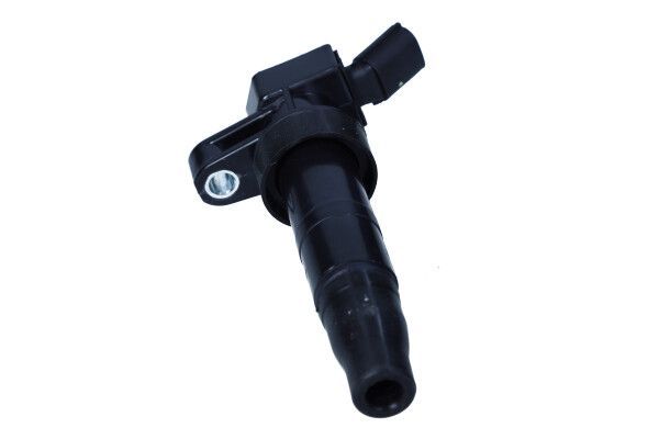 Ritė, uždegimas MAXGEAR 13-0243