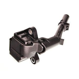 Ritė, uždegimas MAXGEAR 13-0247