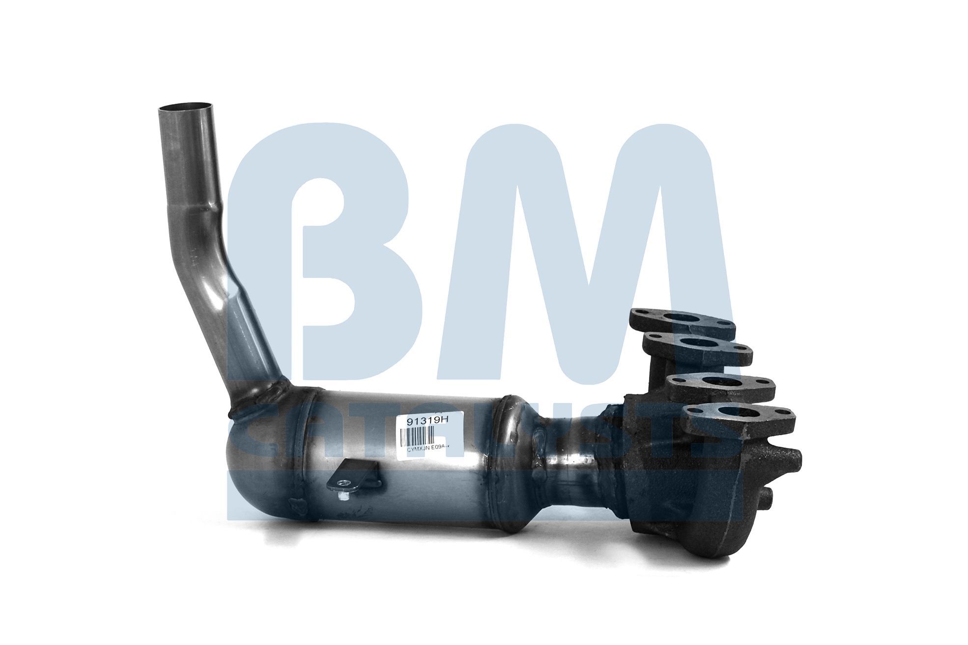 Katalizatoriaus keitiklis BM CATALYSTS BM91319H