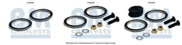 Montavimo komplektas, katalizatoriaus keitiklis BM CATALYSTS FK80299