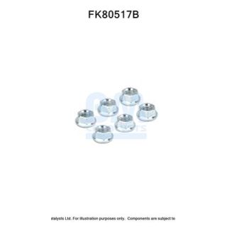 Montavimo komplektas, katalizatoriaus keitiklis BM CATALYSTS FK80517