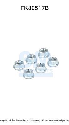 Montavimo komplektas, katalizatoriaus keitiklis BM CATALYSTS FK80517