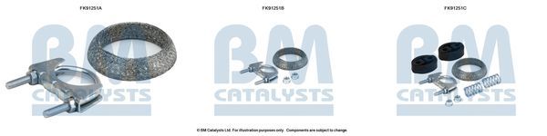 Montavimo komplektas, katalizatoriaus keitiklis BM CATALYSTS FK91251