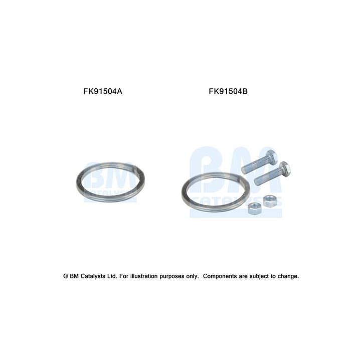 Montavimo komplektas, katalizatoriaus keitiklis BM CATALYSTS FK91504