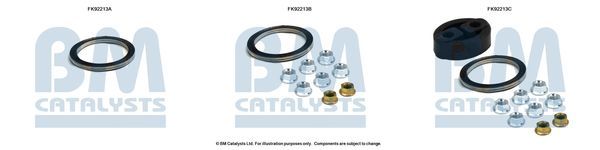 Montavimo komplektas, katalizatoriaus keitiklis BM CATALYSTS FK92213