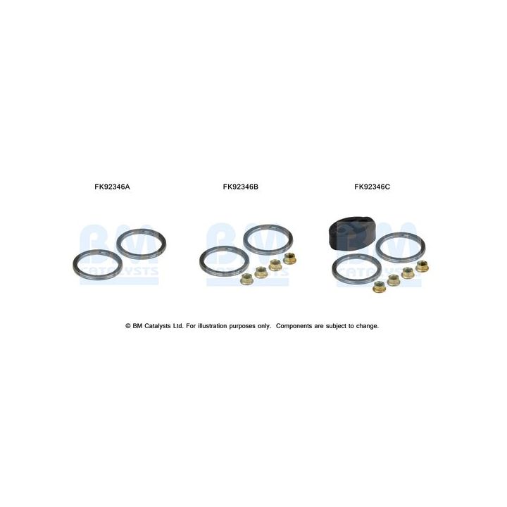Montavimo komplektas, katalizatoriaus keitiklis BM CATALYSTS FK92346