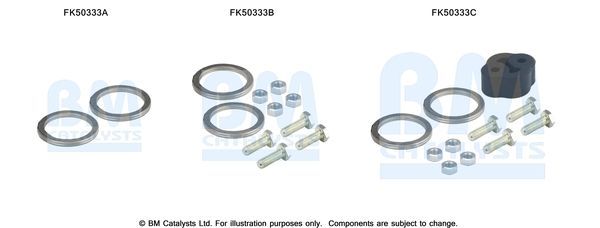 Montavimo komplektas, išmetimo vamzdis BM CATALYSTS FK50333