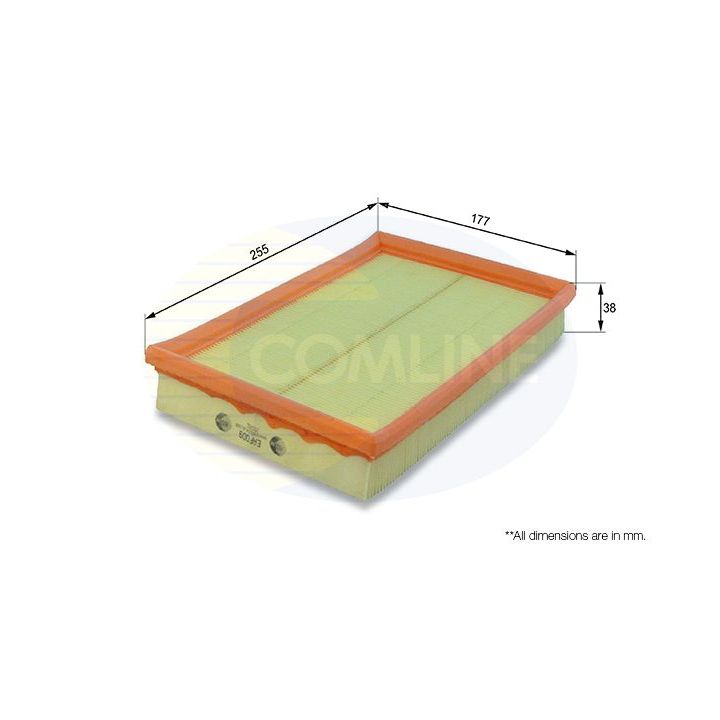 Oro filtras COMLINE EAF009
