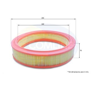 Oro filtras COMLINE EAF098