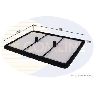 Oro filtras COMLINE EAF1024