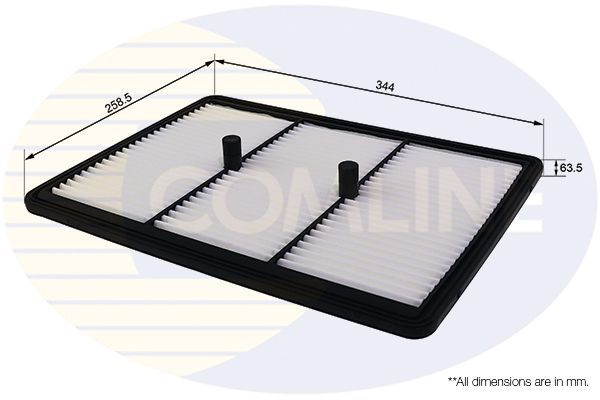 Oro filtras COMLINE EAF1024