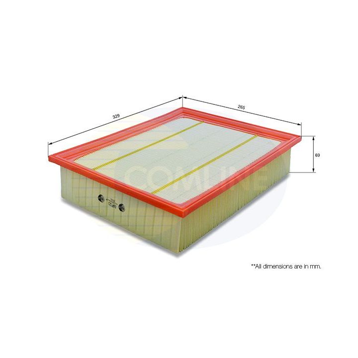Oro filtras COMLINE EAF123