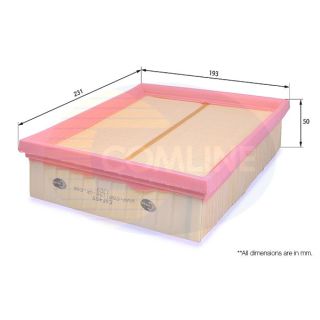 Oro filtras COMLINE EAF455