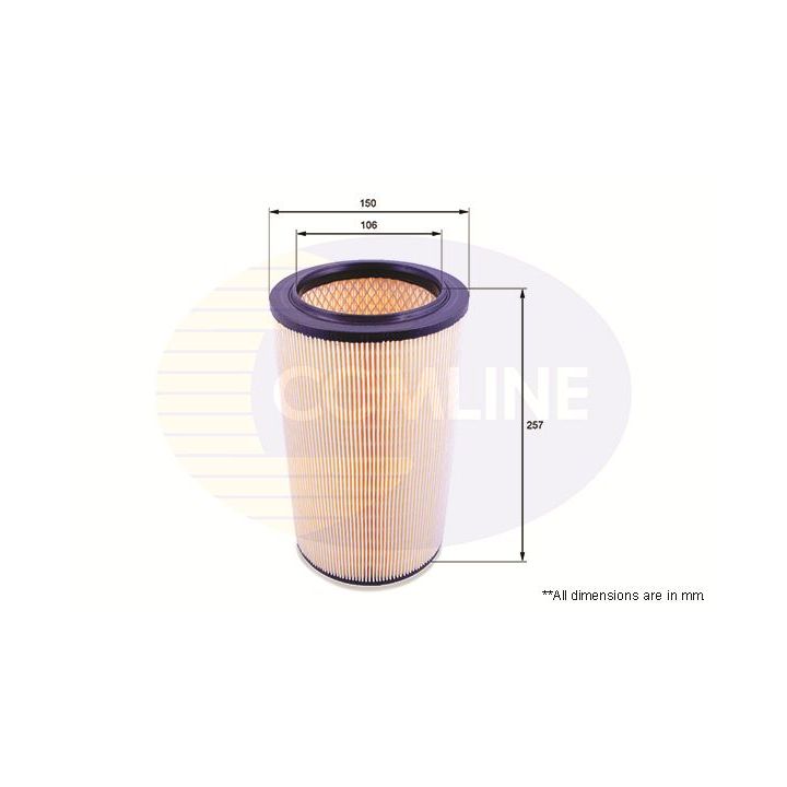 Oro filtras COMLINE EAF509