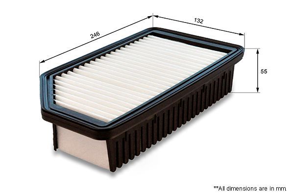 Oro filtras COMLINE EAF859