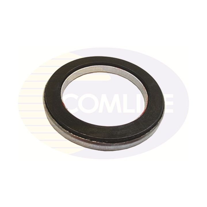 Frikcinis guolis, pakabos statramsčio atramos montavimas COMLINE CTSM9102