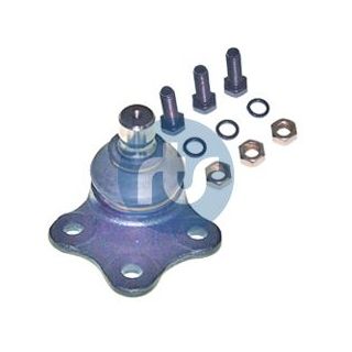 Šarnyras / girgždukas RTS 93-00679-056