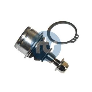 Šarnyras / girgždukas RTS 93-02806-015