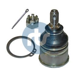 Šarnyras / girgždukas RTS 93-06603-015