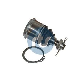 Šarnyras / girgždukas RTS 93-06605-015