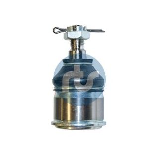 Šarnyras / girgždukas RTS 93-06613