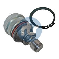 Šarnyras / girgždukas RTS 93-08810