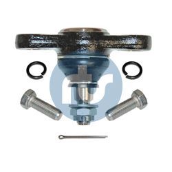 Šarnyras / girgždukas RTS 93-08816-056