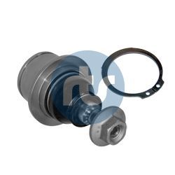 Šarnyras / girgždukas RTS 93-09236-015