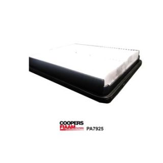 Oro filtras CoopersFiaam PA7925