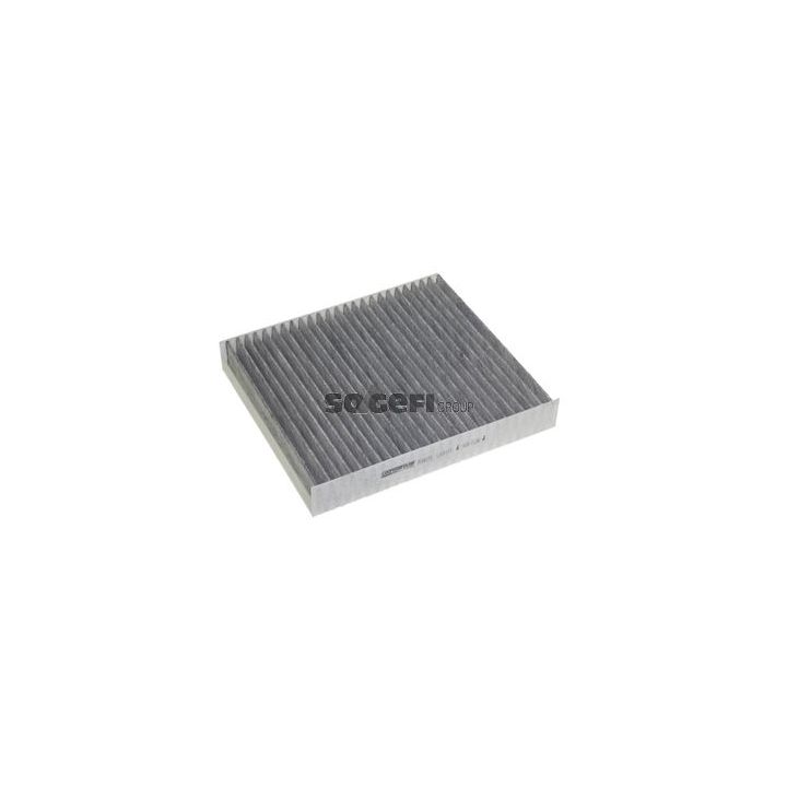 Filtras, salono oras CoopersFiaam PCK8255