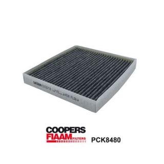 Filtras, salono oras CoopersFiaam PCK8480